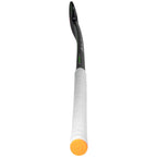 Princess Comp. 5 STAR Bk/Silver SG9-LB Hockeystick